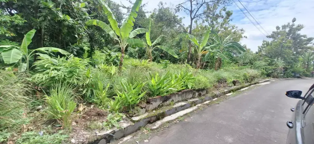 Dijual Tanah pekarangan 600m2