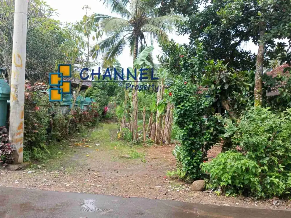 DIJUAL Tanah Kavling Bonus Rumah Lokasi Terbaik Dekat Universitas IPB Dramaga Bogor, St