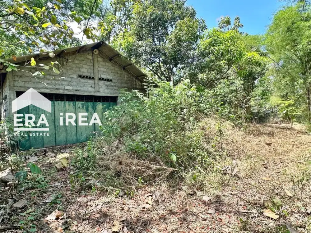 DIJUAL TANAH DAN GUDANG DEKAT SOLO BARAT WADUK CENGKLIK BOYOLALI