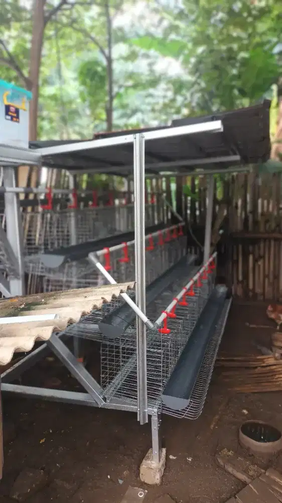 Fullset kandang ayam petelur