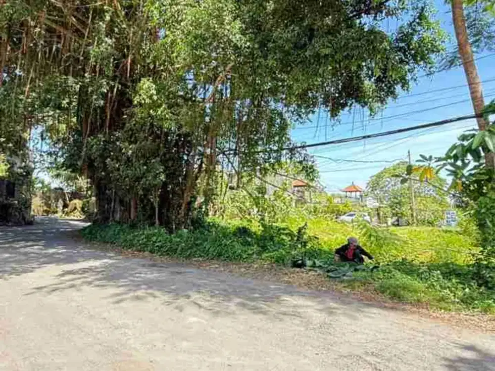 Jual Tanah Hook Luas 3.8are/380m² Zona Kuning Lokasi Gang Pura Tangi Ungasan area Airis Pecatu area Investasi Strategis