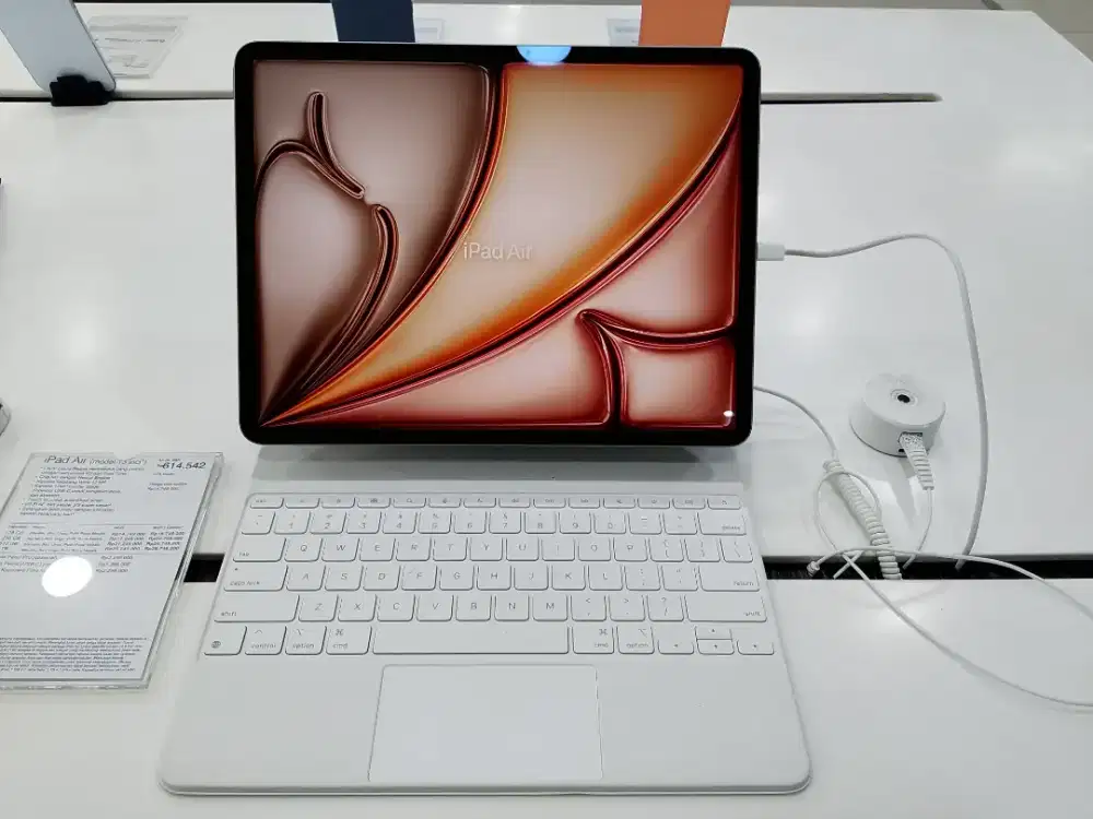 iPad Air (model 13 inci')