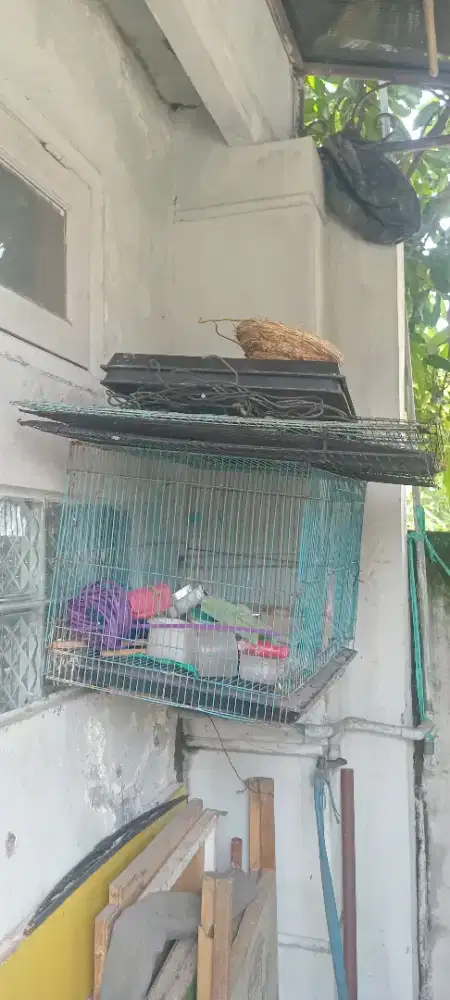 Dijual kandang anjing kucing