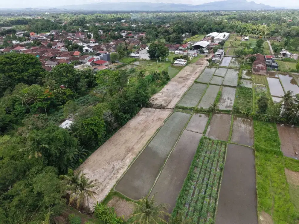 Tanah Strategis Palagan Sleman Pinggir Jalan utama Pandowoharjo