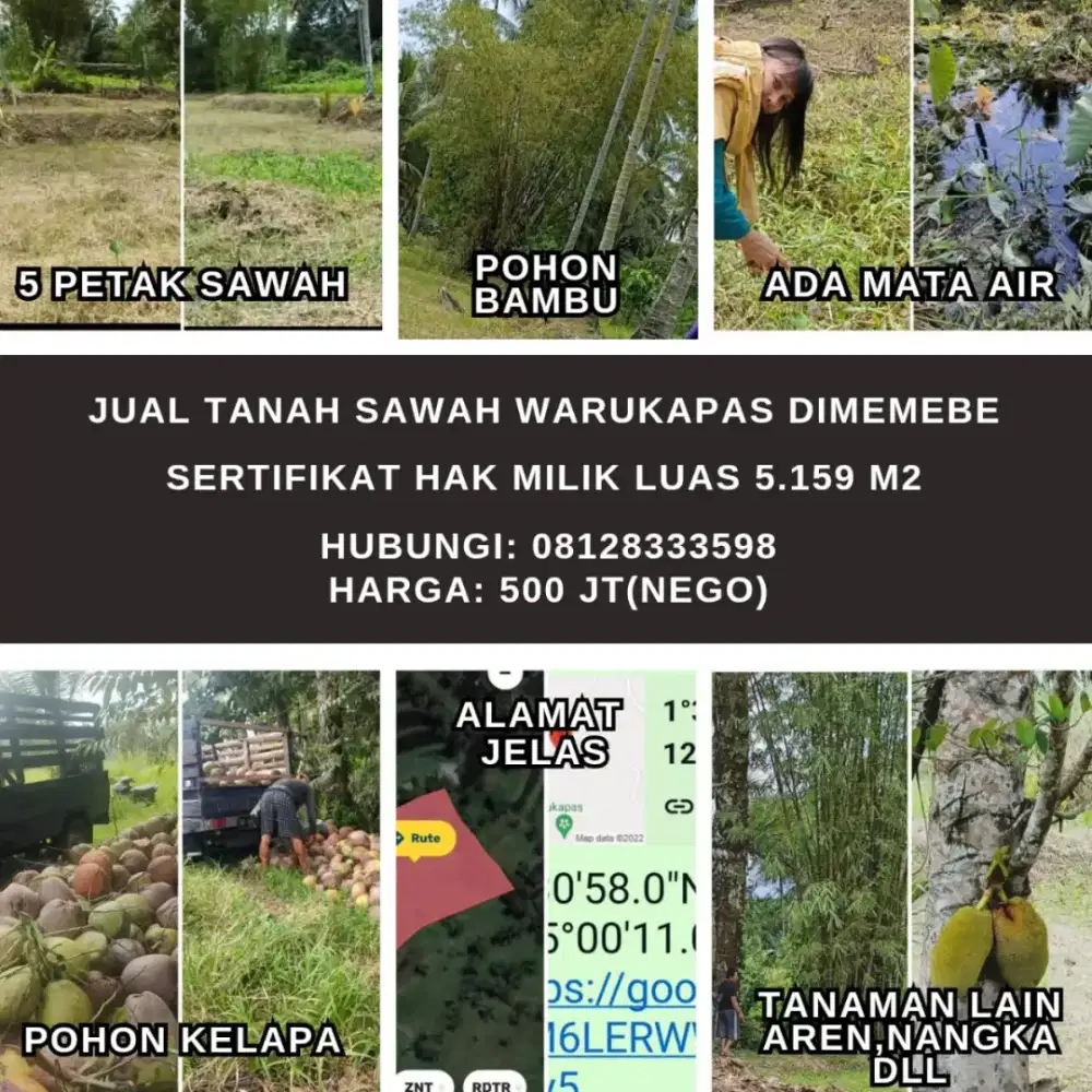 DIJUAL TANAH SAWAH DI WARUKAPAS DIMEMBE MINAHASA UTARA