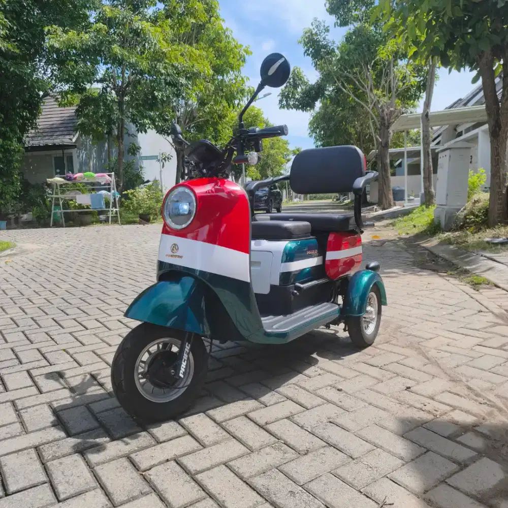 PACIFIC MAXIMUS EV MOTOR / SEPEDA LISTRIK RODA 3