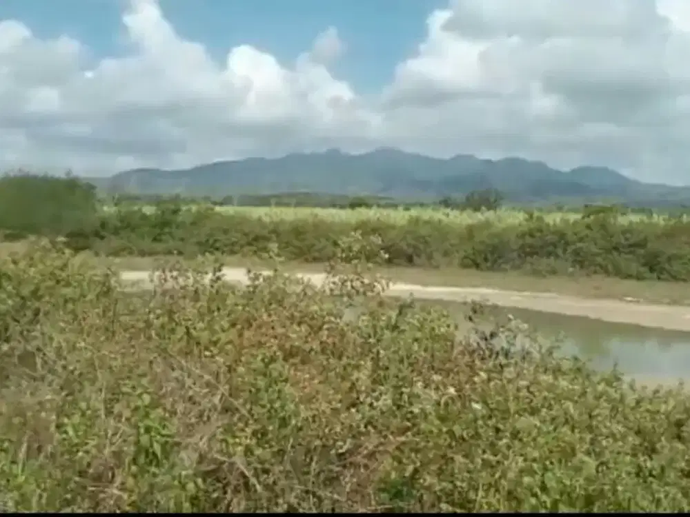 DIJUAL Tanah Raya Bancar Tuban