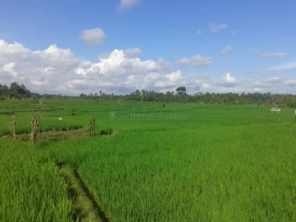 Tanah Jogodalu Metatu Cerme