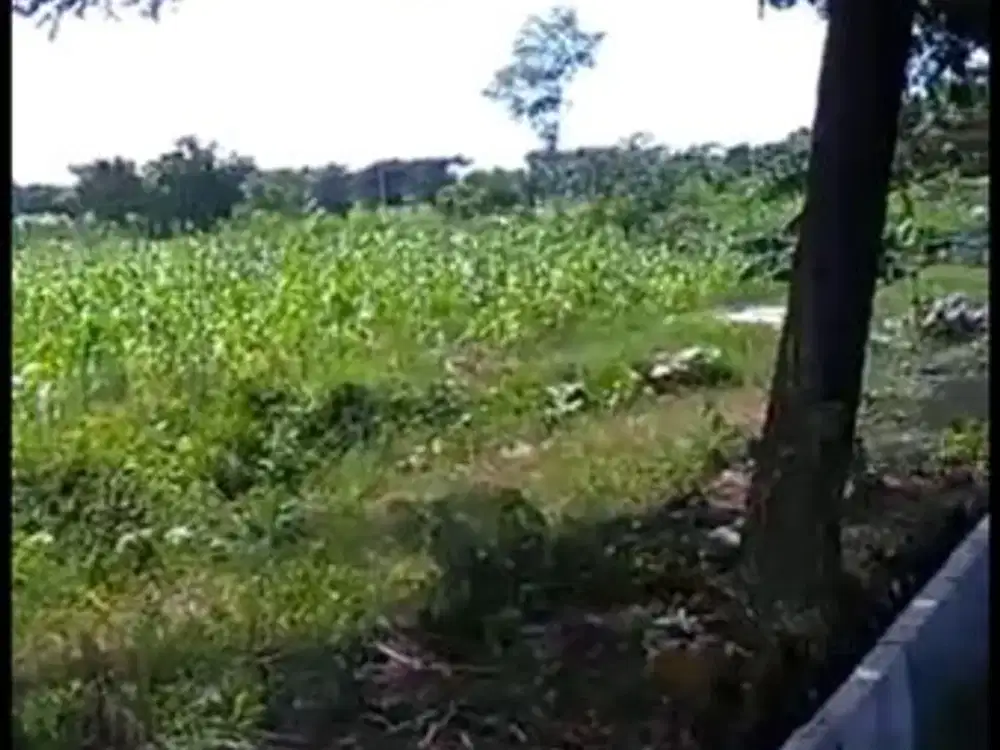 Tanah Nol jalan di Raya Jenu Tuban