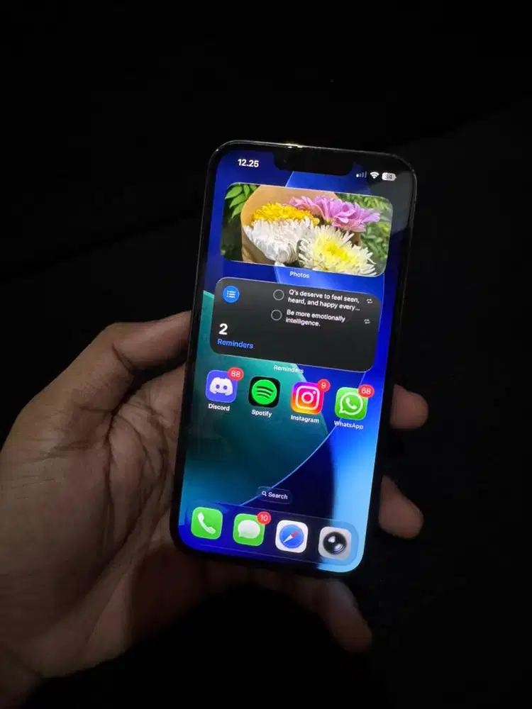 iPhone 13 Pro 256gb Pribadi Beacukai