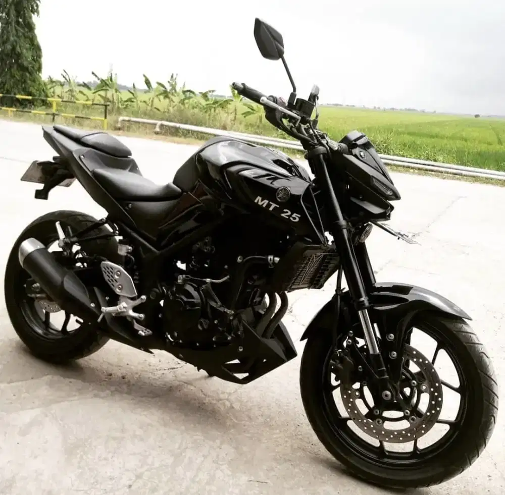 Motor Yamaha MT25