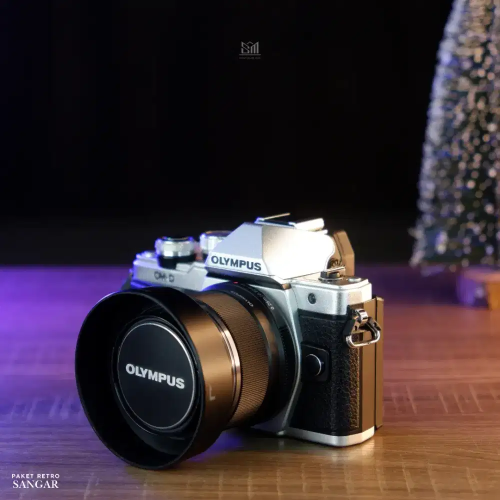 Paket Plus! OLYMPUS OMD E-M10 MARK II FIX 25MM OMD EM10 II PAKET FOTO