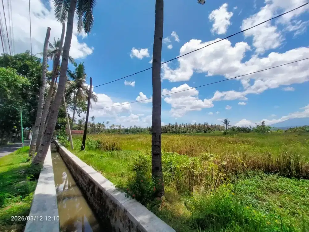 DIJUAL TANAH STRATEGIS SOBO, BANYUWANGI KOTA