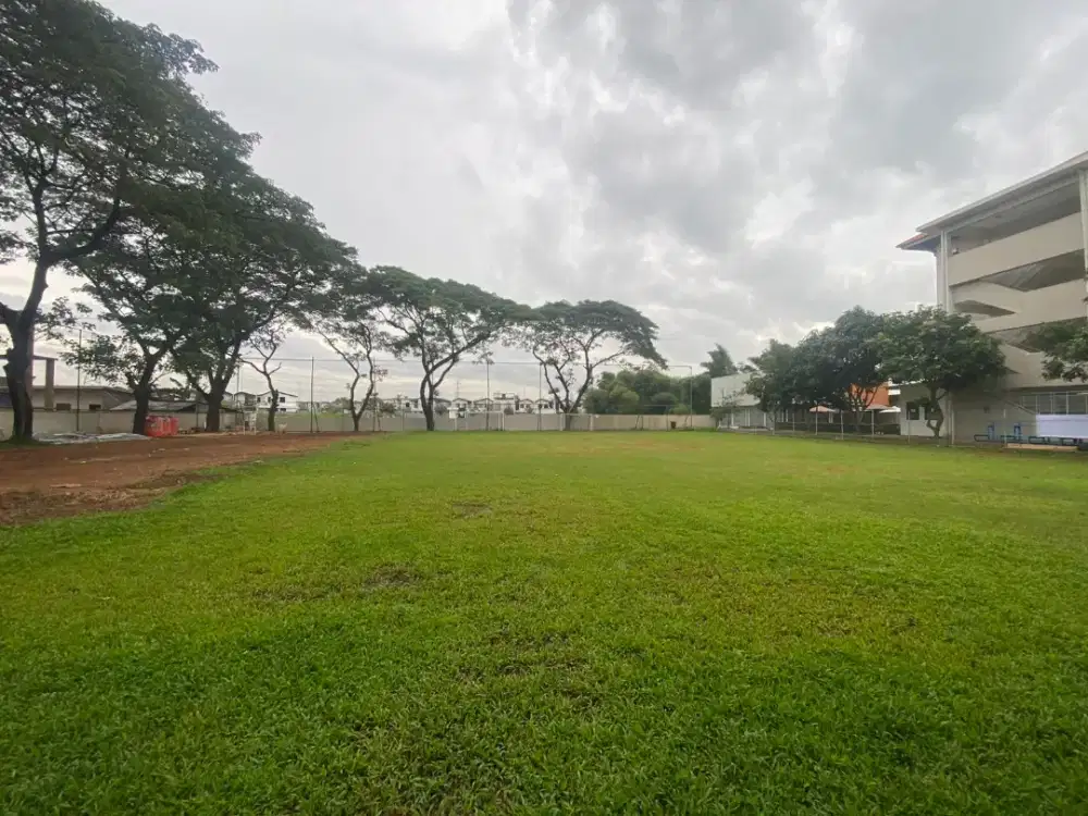 Land clearing cut and fill bongkar bangunan tua bongkar rumah tua