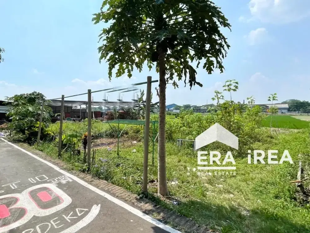 TANAH DIJUAL DI SOLO BARAT DEKAT TOL BANYUDONO DAN PT SOLO MURNI KIKY