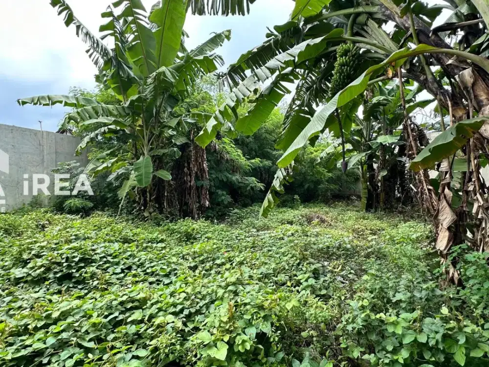 TANAH DIJUAL DI SOLO DEKAT SOLO SQUARE MALL DAN PASAR KLECO