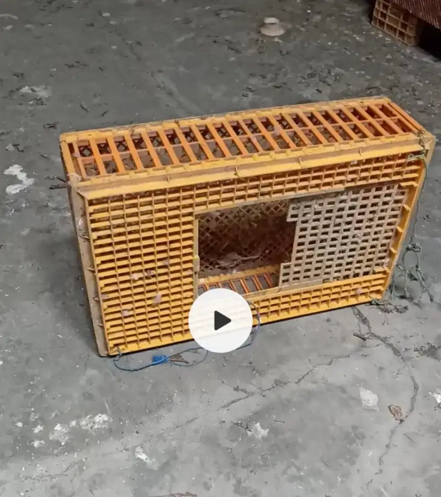 KERANJANG AYAM  PLASTIC