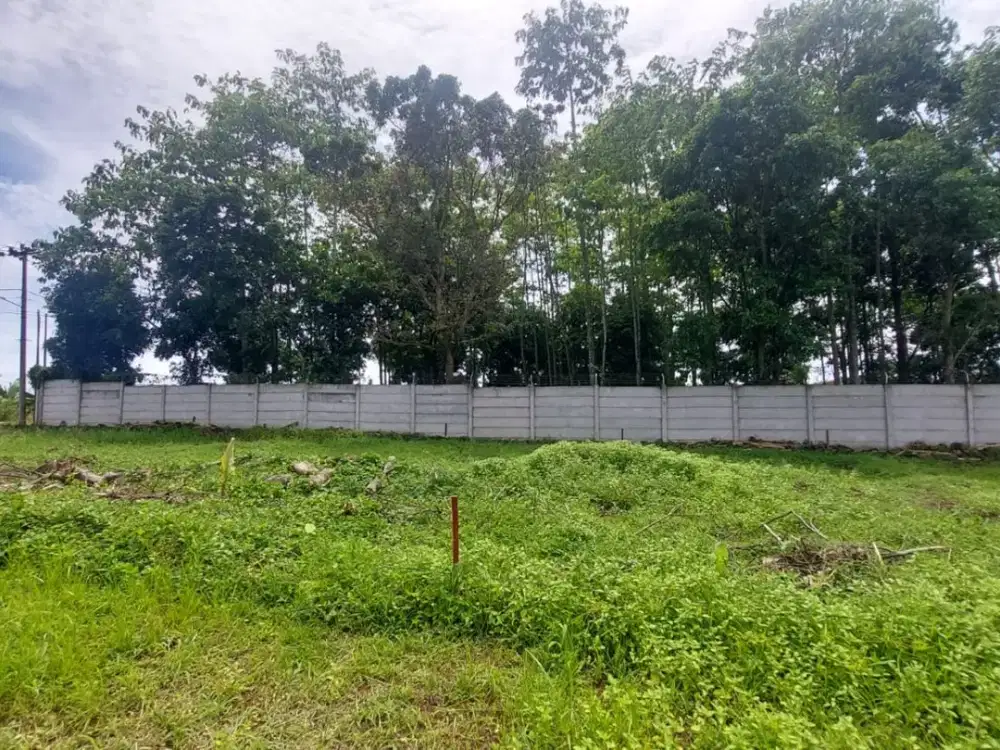 Kavling Murah Cisauk, Dekat Tol Serpong-Balaraja. Terima SHM Pecah