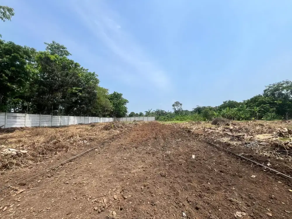 Tanah Kavling 1 Jt-an di Cisauk, 10 Menit Stasiun Jatake BSD, SHM