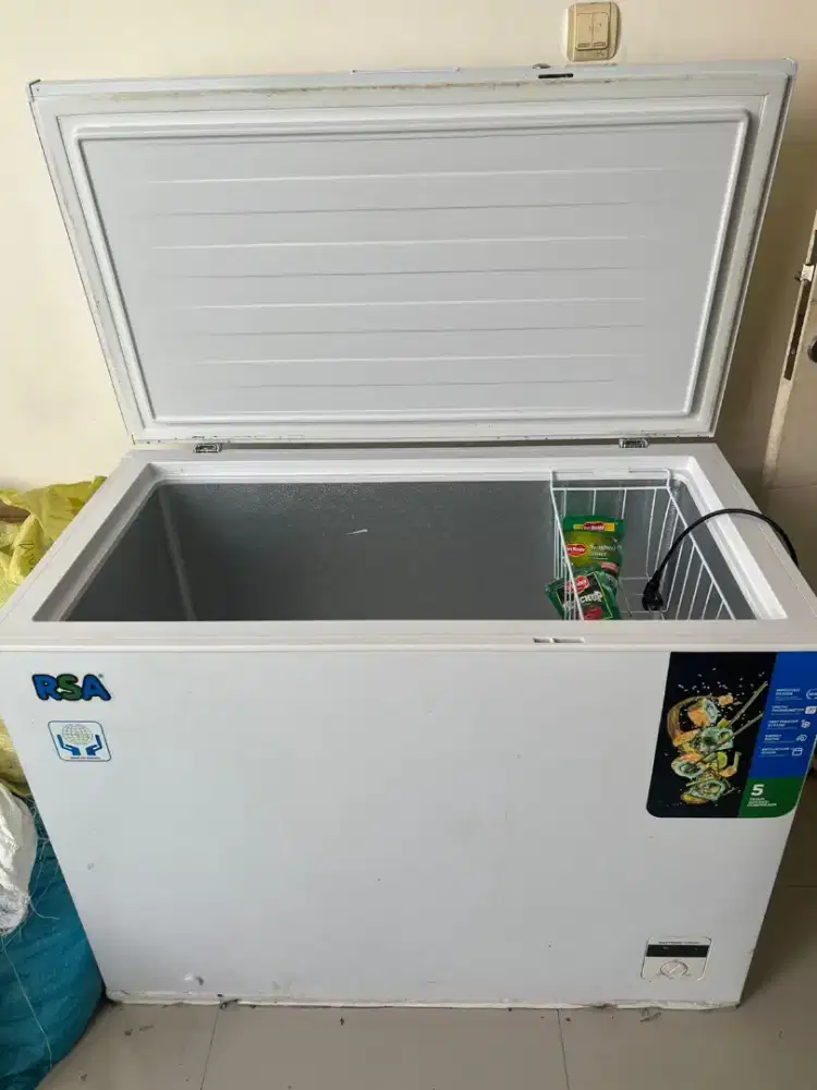 Freezer RSA CS310 ltr