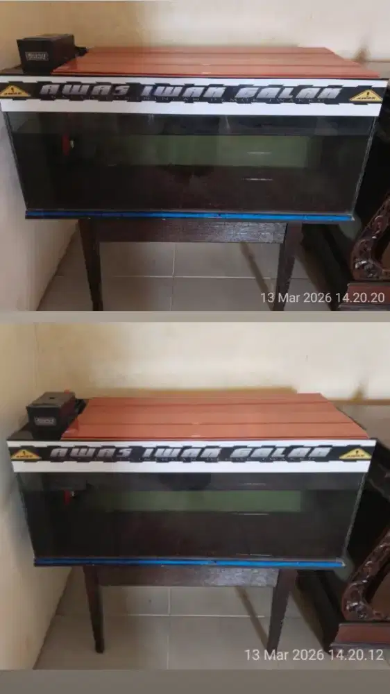 Aquarium dan semuanya