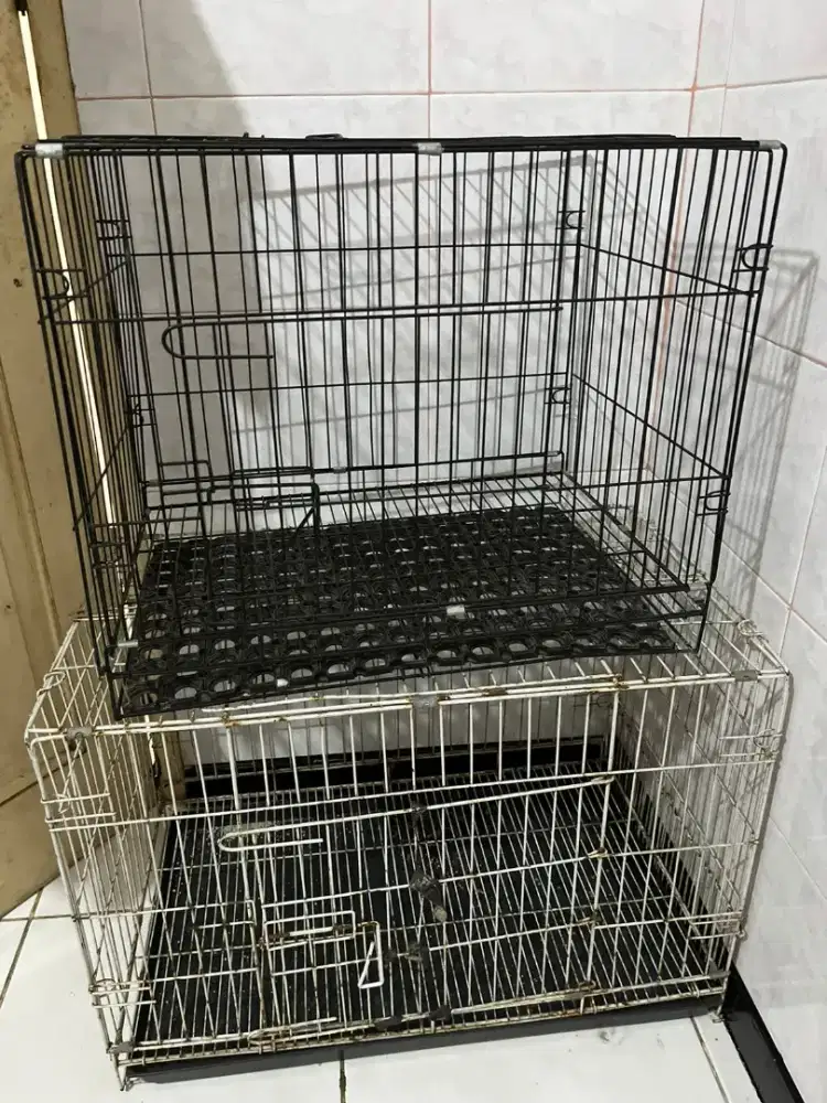 2 kandang kucing
