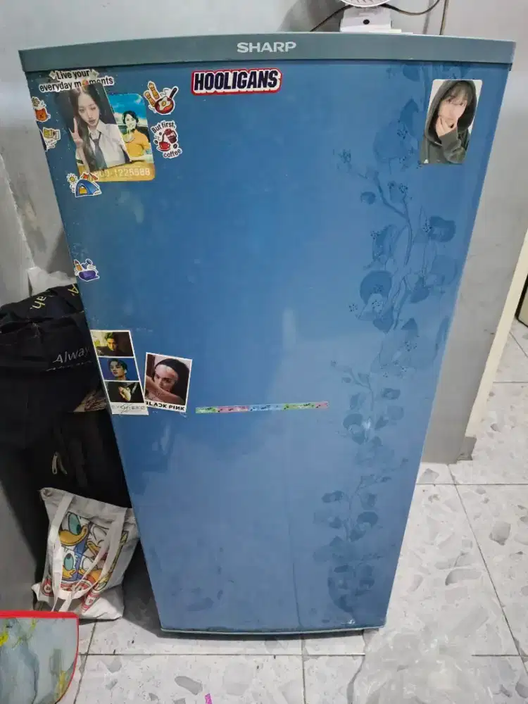 Kulkas bekas 1 pintu