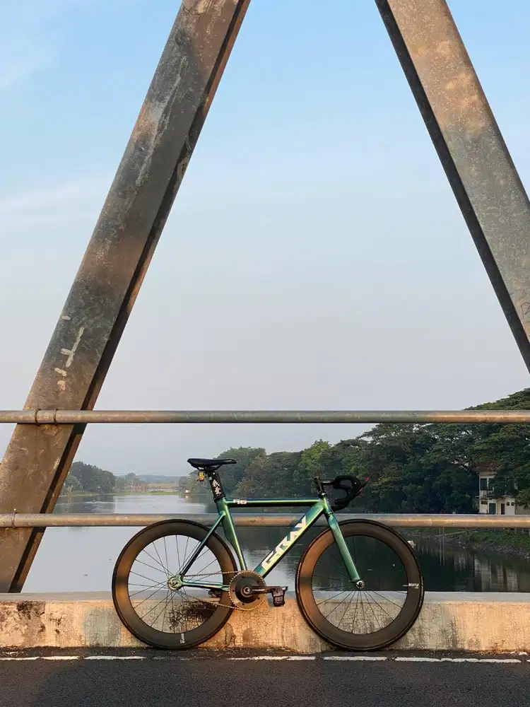 Frameset : Gray F16 repaint green chameleon