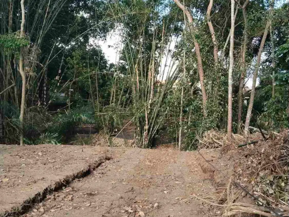 Dijual global tanah lingkungan villa di Br abianseka, mas - ubud