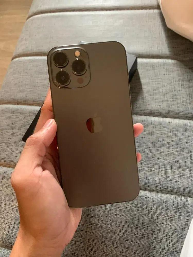 iPhone 13 Pro Max 256 Gb