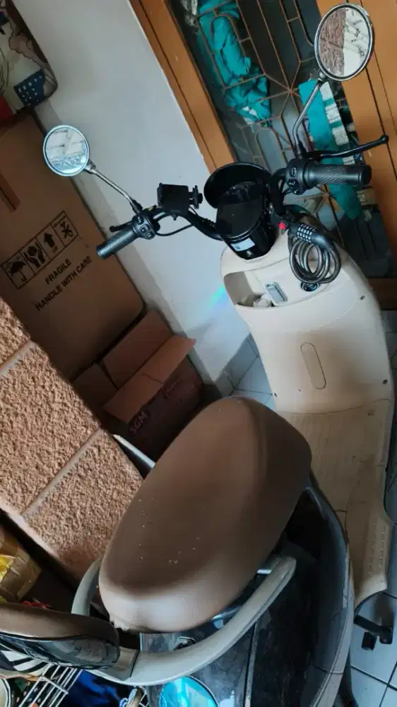 Selis Flamingo Hitam