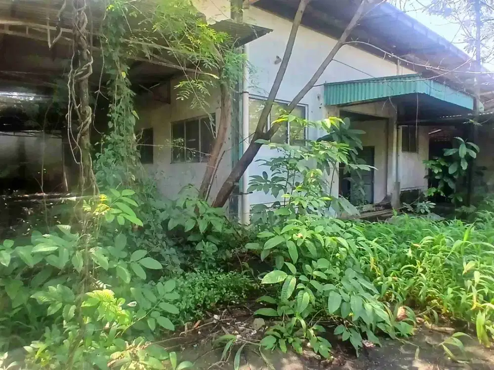 Gudang Murah Dijual Dijalan Madrasah Cikeuting Udik Bantargebang Bekasi