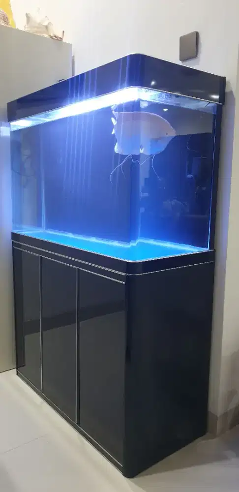 Aquarium Boyu Fishland