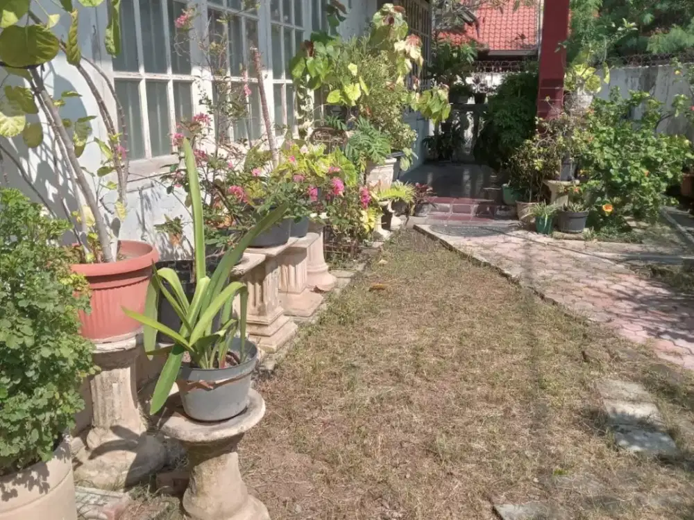 DIJUAL RUMAH MEDOKAN ASRI BARAT