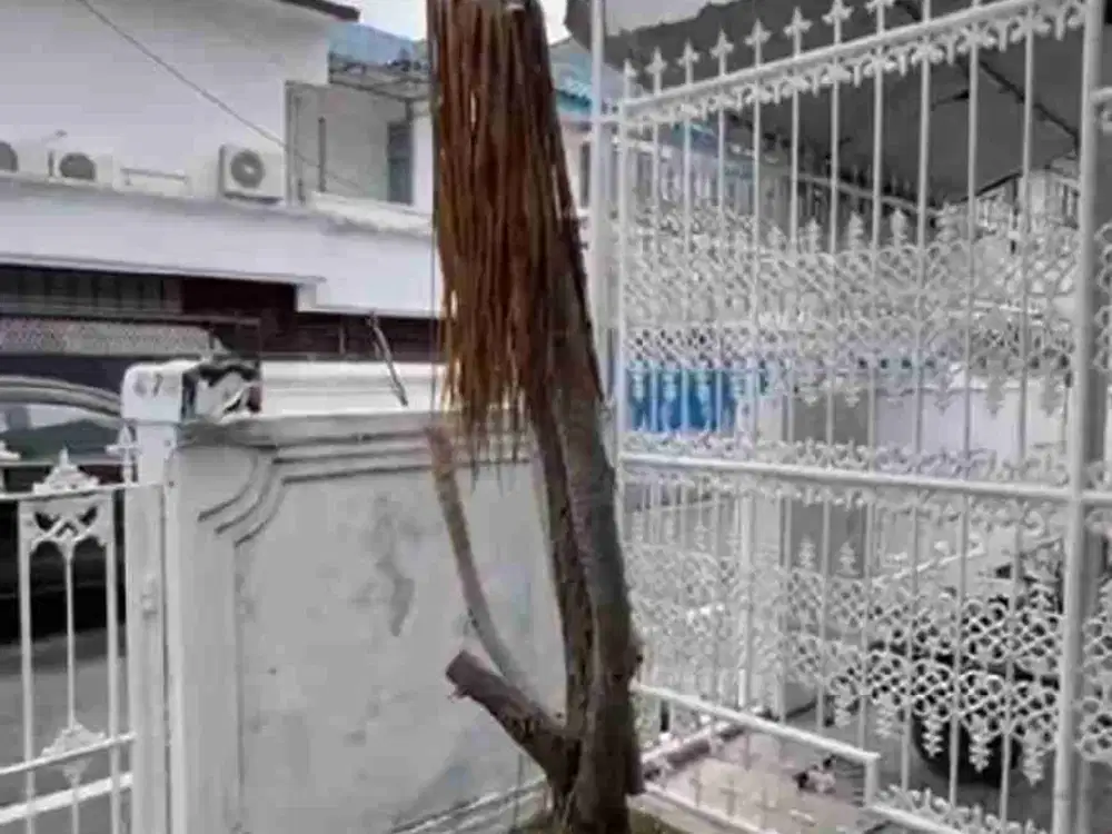 rumah lama perlu renovasi lokasi strategis dekat area kulineran dan jl raya cempaka putih