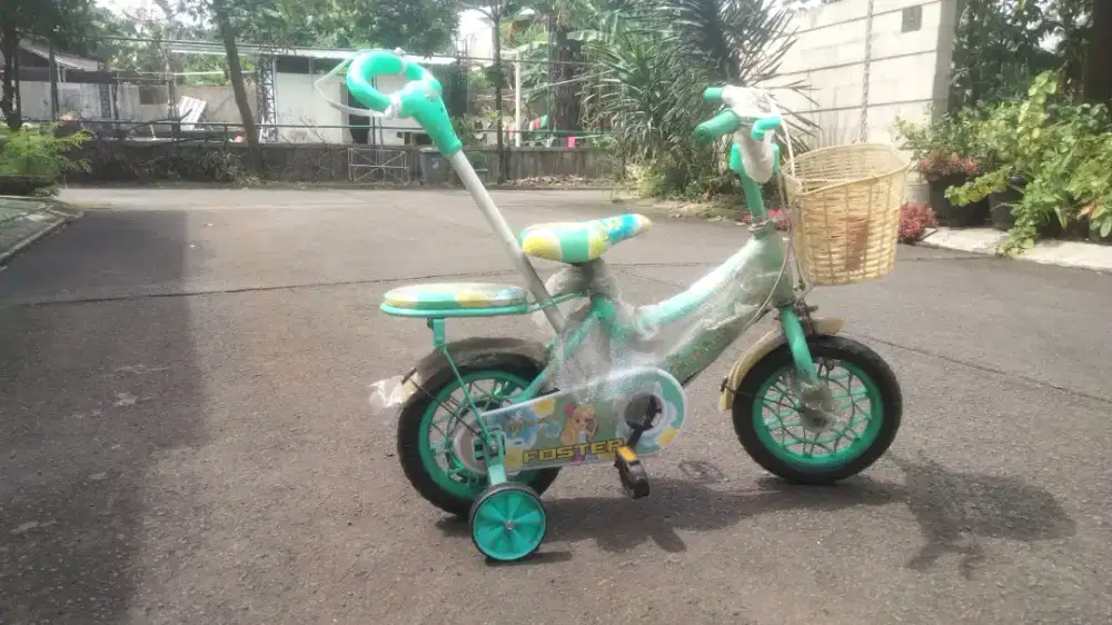 Sepeda anak murah