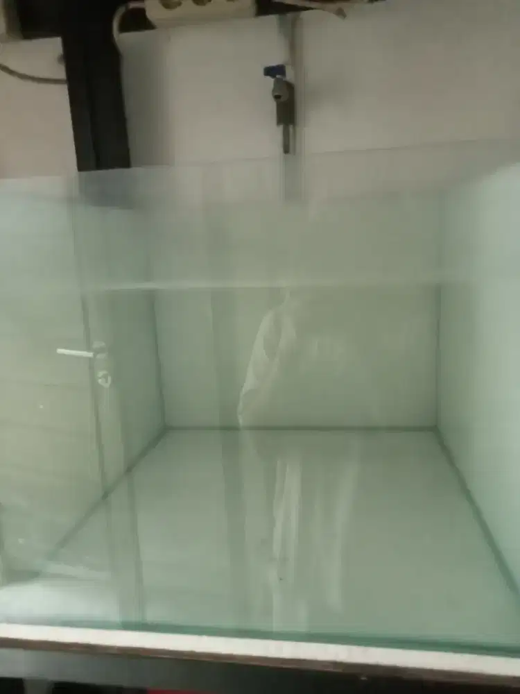 Aquarium ukuran panjang 50cm lebar 50cm