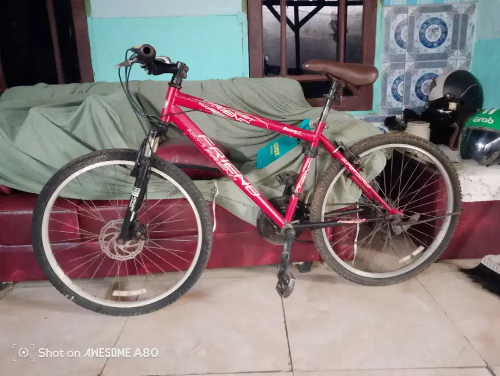 Sepeda dewasa R26 speed 6