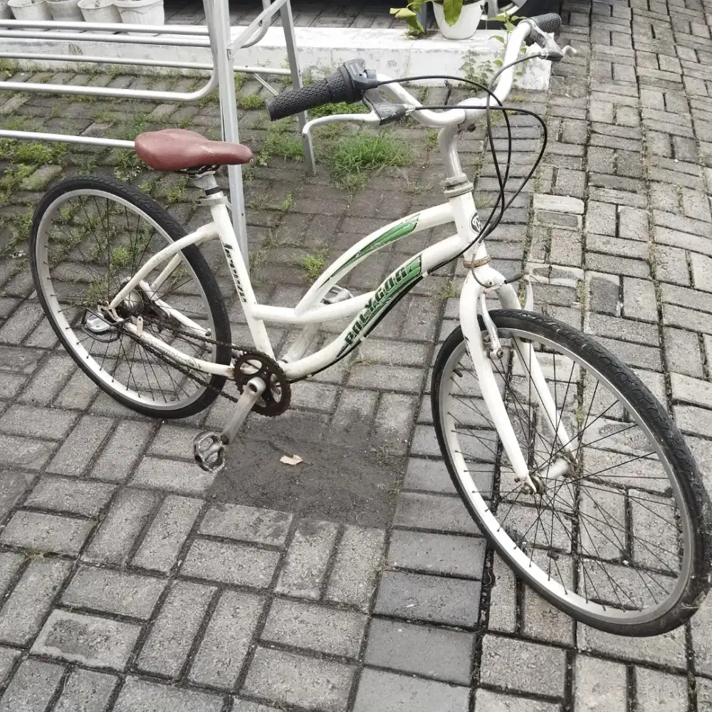 Sepeda polygon breeze bekas