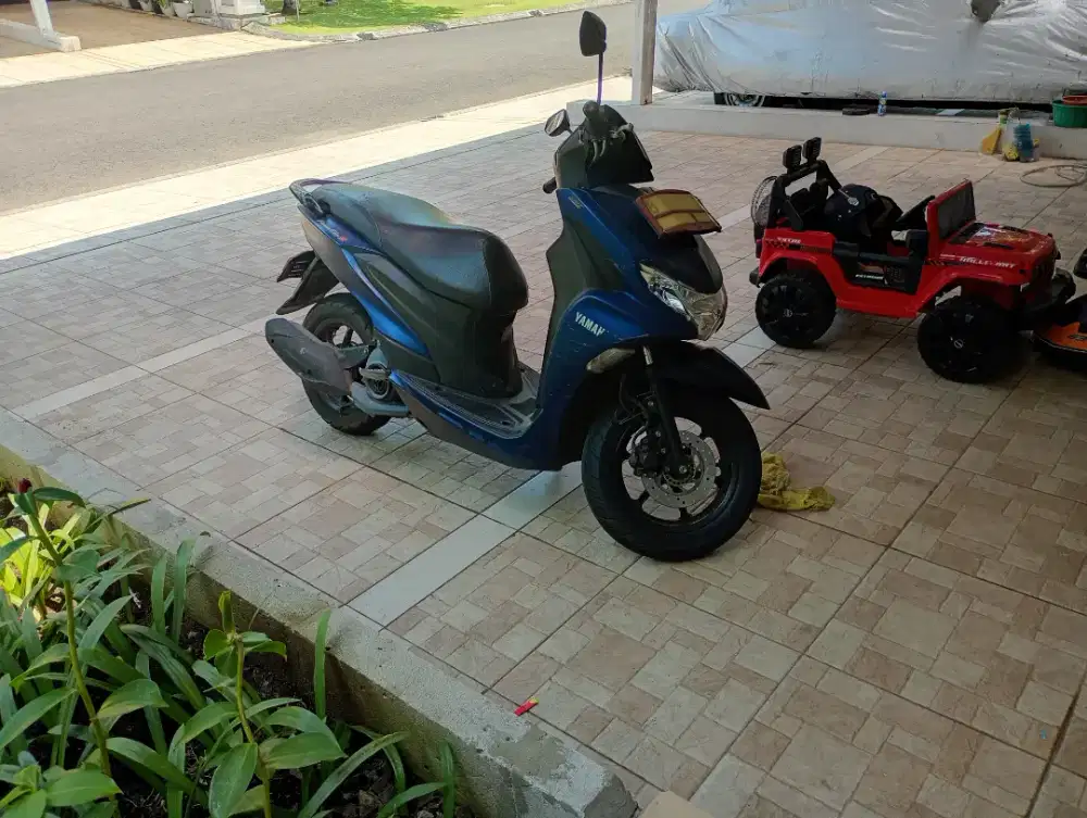 Free go S 2020 cuman 12jtaan