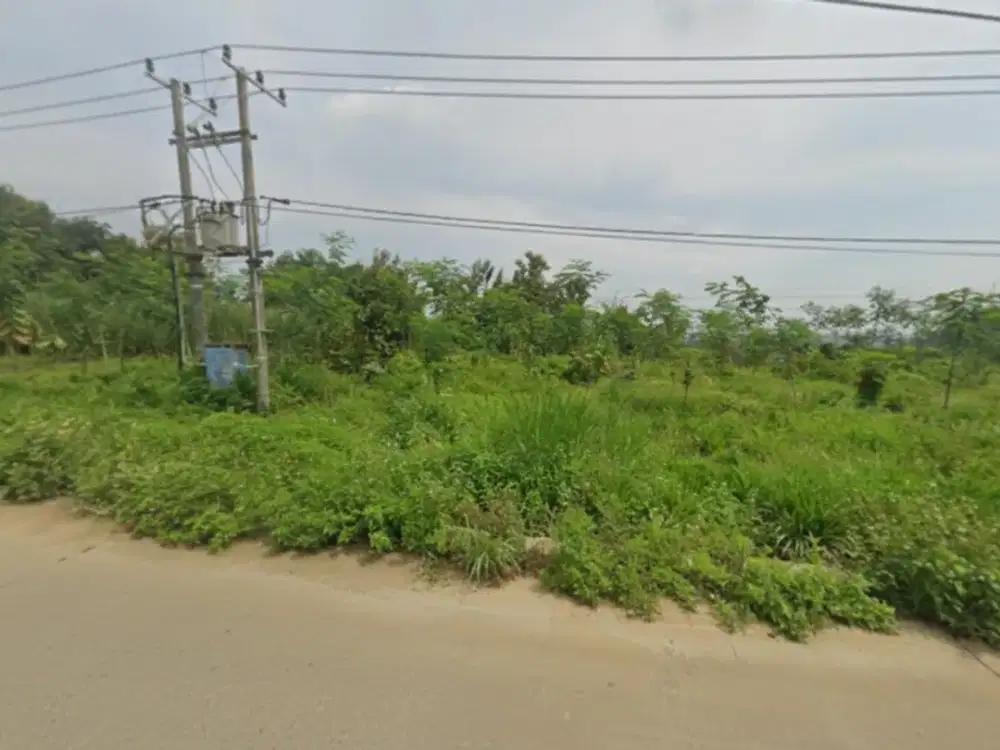 JUAL LAHAN PRODUKTIF 19 HEKTAR DI KAB. MOJOKERTO