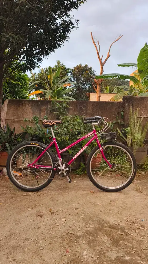 Sepeda commuter bike federal lady