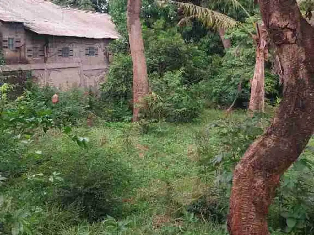 rumah Di pondok jaya