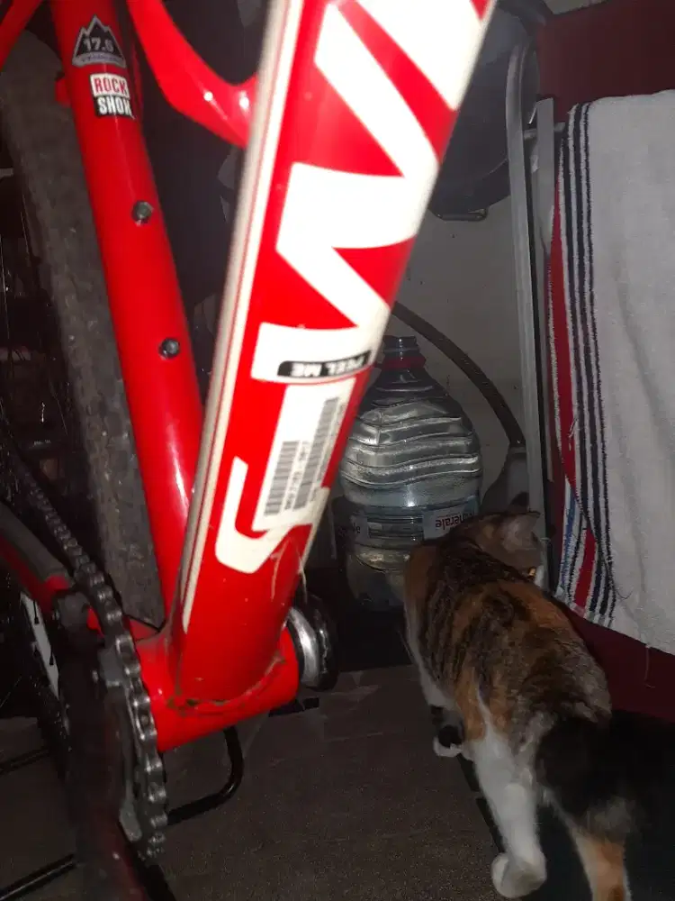 Specialized stmpjumper sworks 29ers