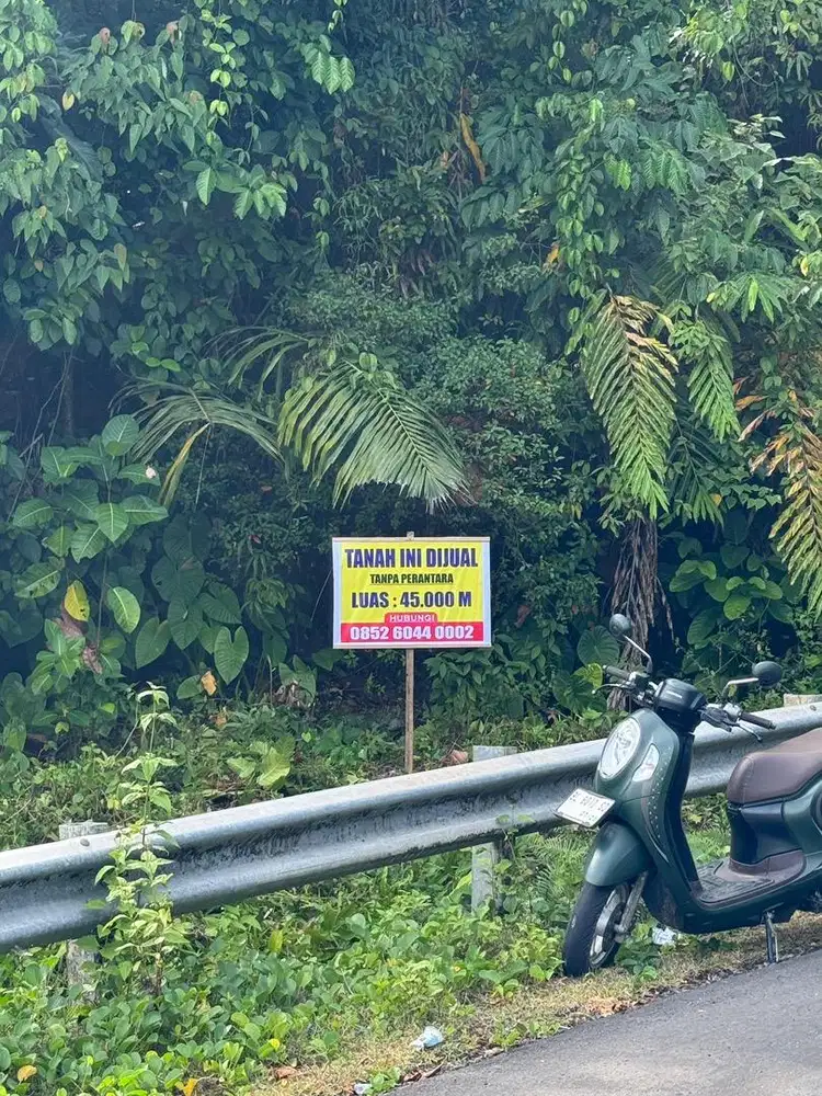 Tanah dijual 4,5 Hektare di Pulau Simeulue, cocok untuk Resort / Hotel