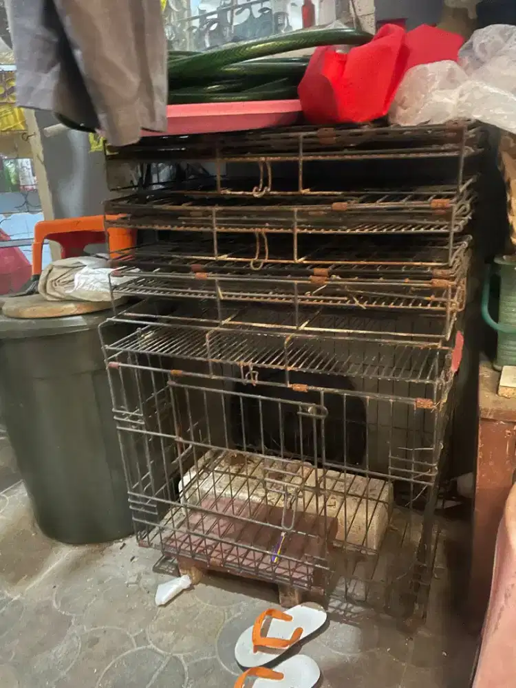 Kandang lipat 2 pintu ada 5