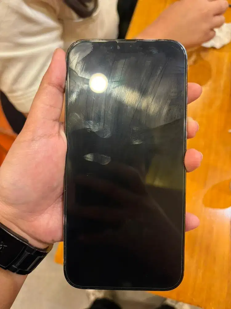 Iphone 13 Promax 256gb (ex inter)