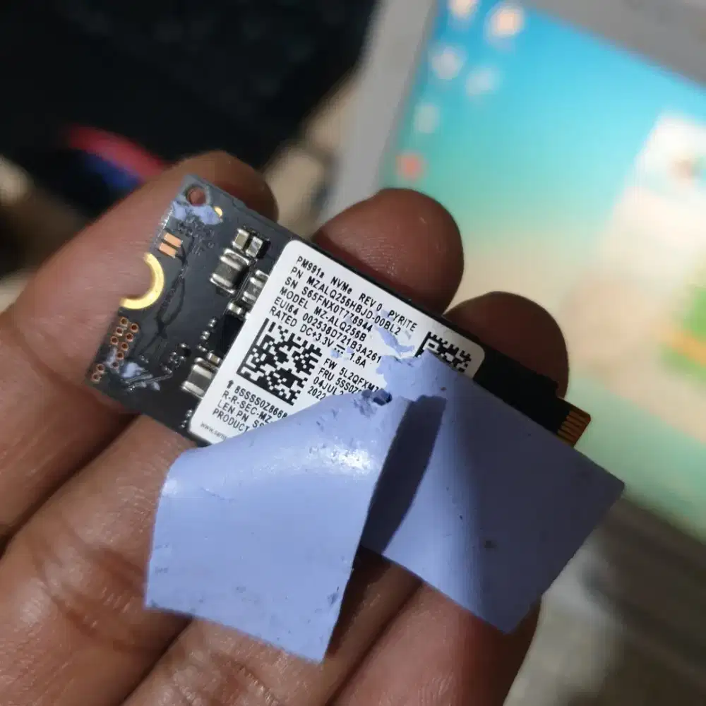 SSD NVME 256 GB - COPOTAN