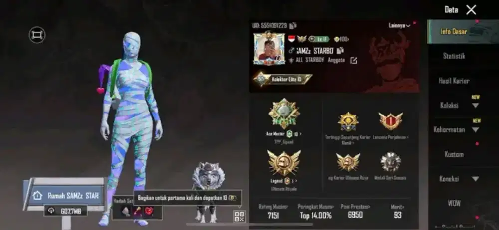 JUAL BELI AKUN PUBG MOBILEE