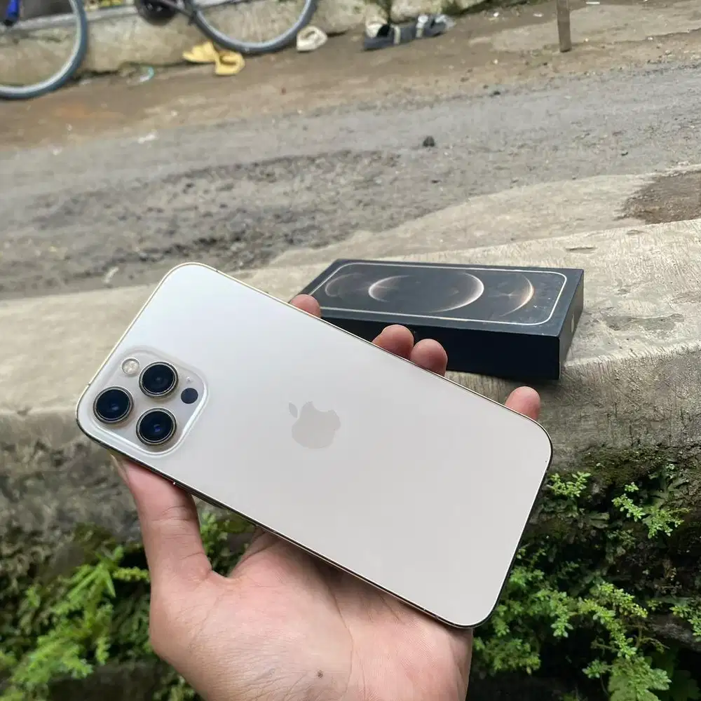 iPhone 12 pro max 256GB register permanen